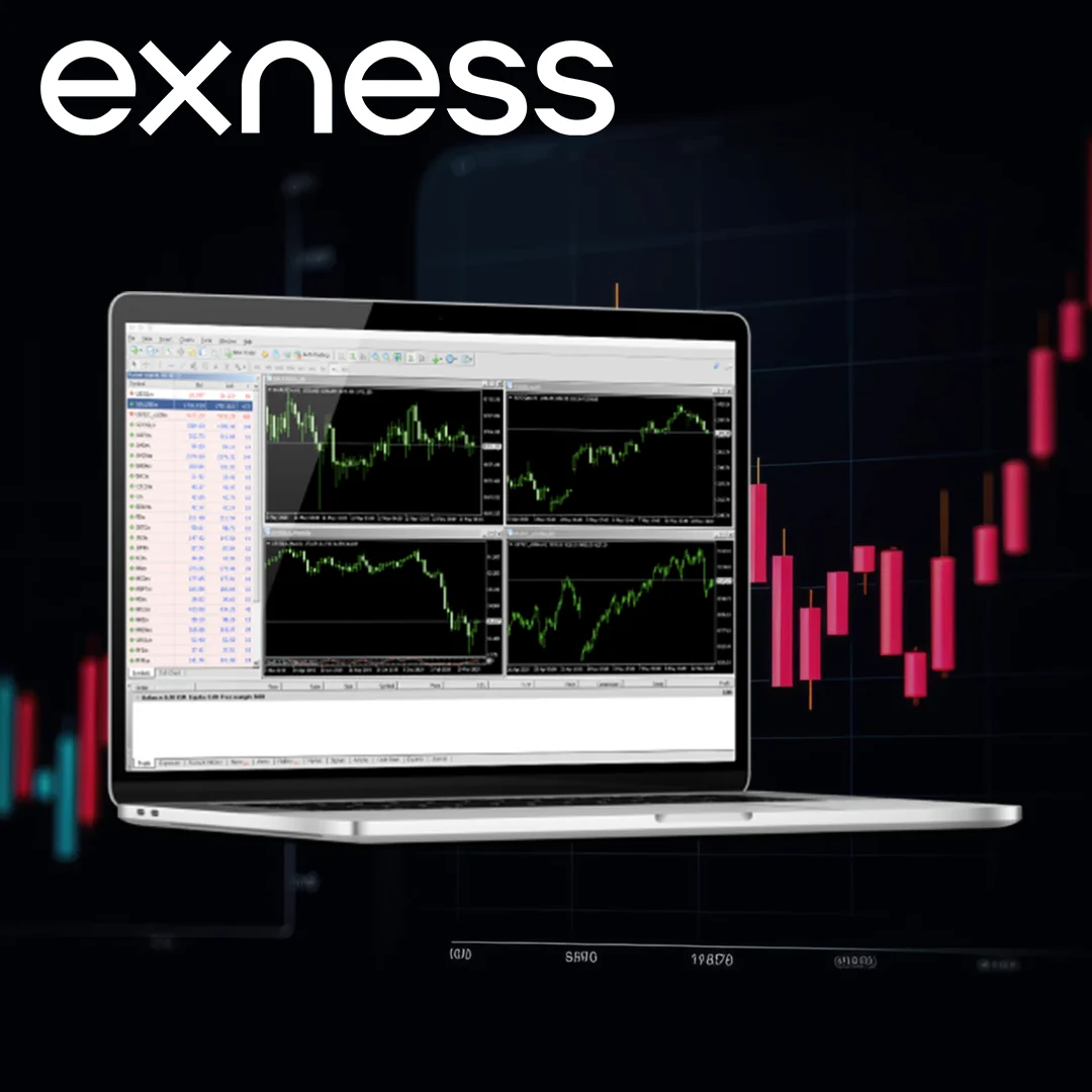 Exness Trading Account Type