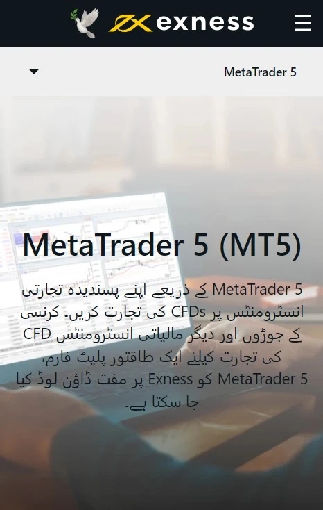 Exness MetaTrader 5